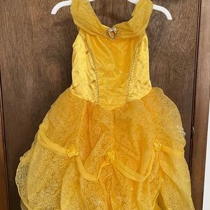 Princess Belle costume